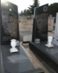 שם העבודה לדוגמא