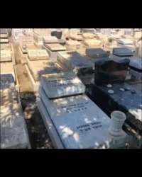 מצבת יחיד ישנה לאחר חידוש קבורת שדה כרית אותיות שחורות בעברית שיש טורקי אגרטל פרחים חדש